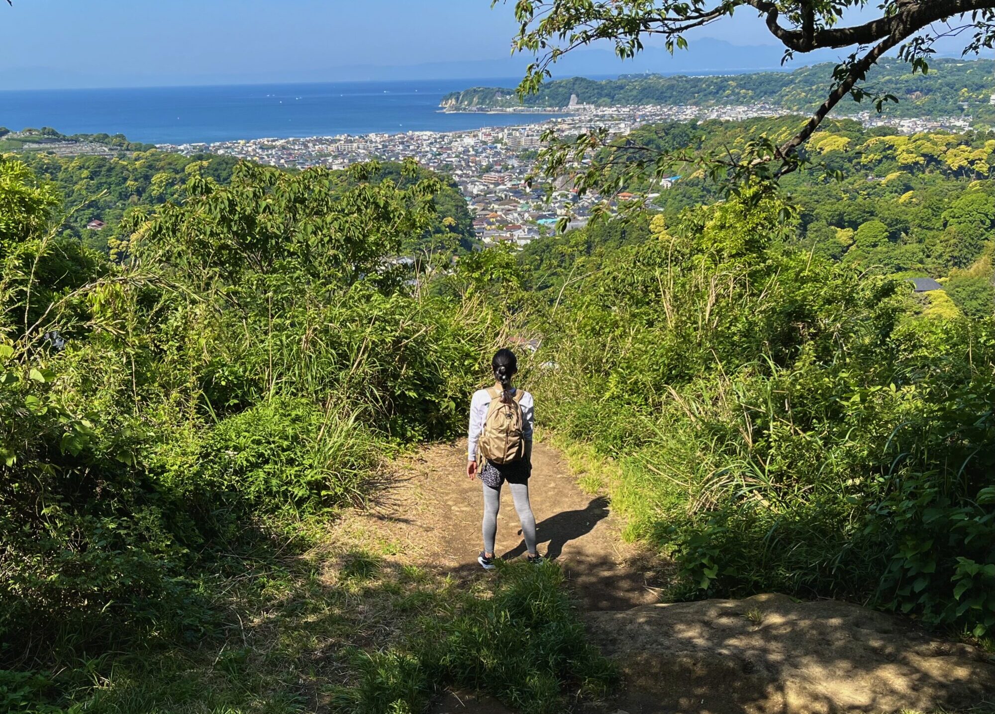 衣張山の山頂